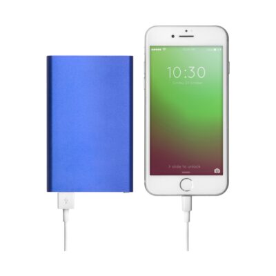 Power Bank Level